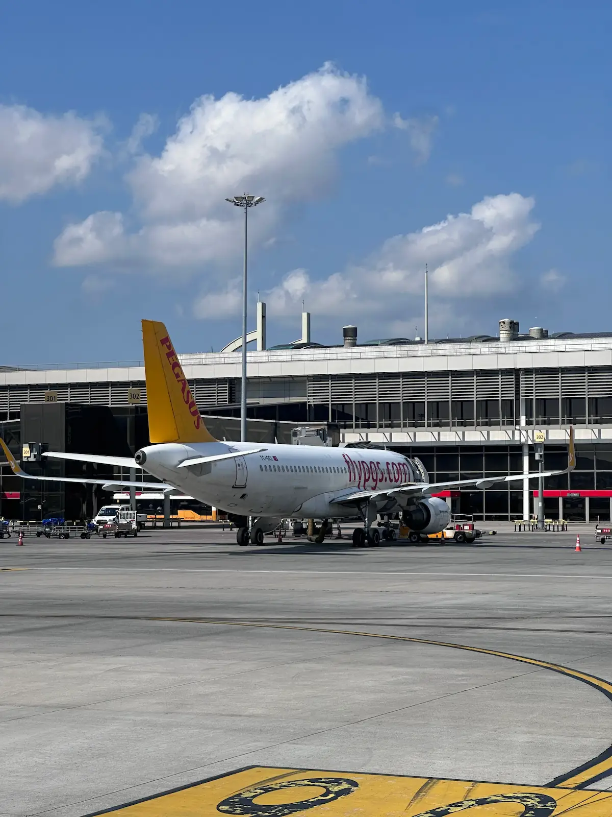 Pegasus Airlines Aircraft on airport gate